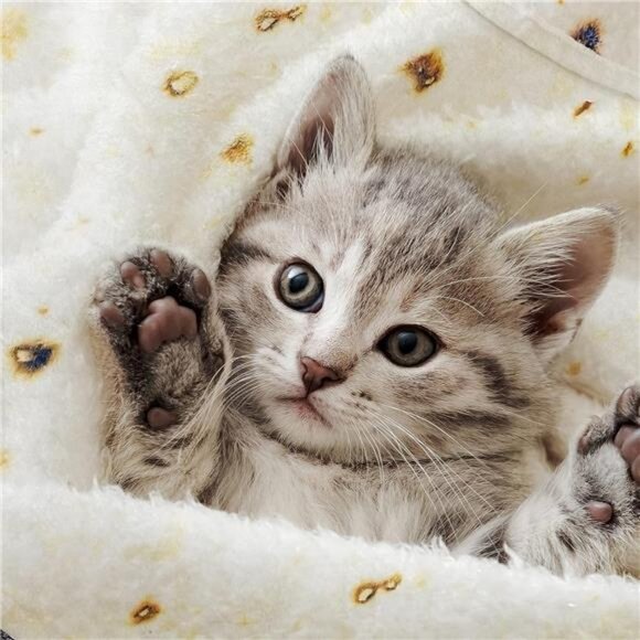 Tortilla Blanket, Baby Burritos Swaddle Blanket Taco Blanket for Newborn Toddler - Picture 5 of 7